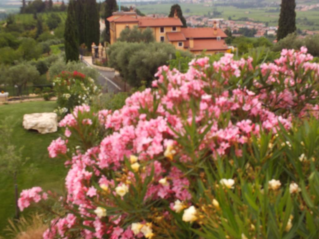 Villa Oleandri San Pietro in Cariano Szoba fotó